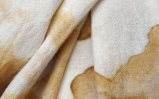 From Wastewater To Fashion: Textile Dye Developed From Sewage Sludge
