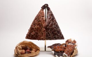 Peel: Transforming Discarded Fruit Skins into Biodegradable Design Materials