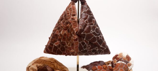 Peel: Transforming Discarded Fruit Skins into Biodegradable Design Materials