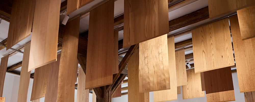 Wood For The Trees Explored The Future Of Responsible Hardwood Use