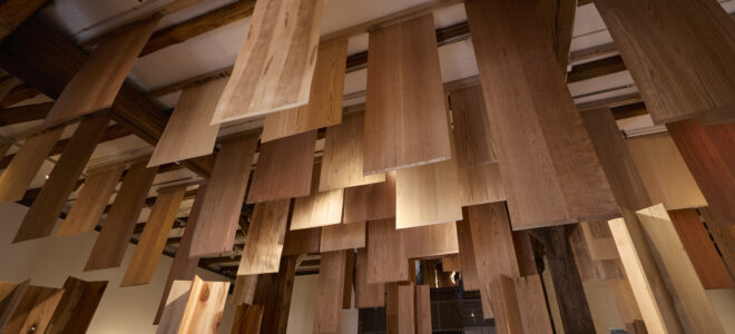 Wood For The Trees Explored The Future Of Responsible Hardwood Use