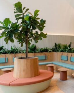 Mycelium-based materials are emerging as alternatives to conventional building products in architecture and interior design. At Three Chamberlain Square in Birmingham, UK, Feilden Clegg Bradley Studios (FCB Studios) installed more than 150 m² of @mogumycelium PLUMA acoustic panels. The workplace combines acoustic treatment with a biobased material for interior applications.

Read more at MaterialDistrict.com

#MaterialInspiration #Materials #Mycelium #AcousticPanels #BioBasedMaterials #SustainableInteriors #InteriorArchitecture #WorkplaceDesign #MaterialInnovation #CircularDesign #Architecture #Mogu