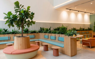 Designing Workplace Acoustics with Mycelium Panels