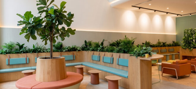 Designing Workplace Acoustics with Mycelium Panels