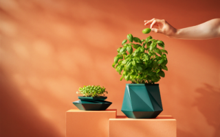 Helix: Recycled Origami Planter Grows With The Plant