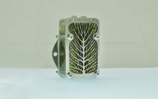 Living Algae Biocells Offer An Alternative To Disposable Batteries