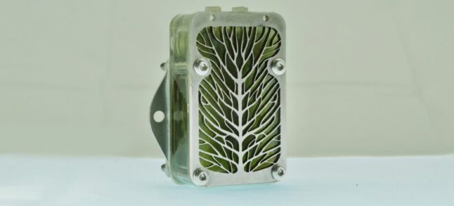 Living Algae Biocells Offer An Alternative To Disposable Batteries
